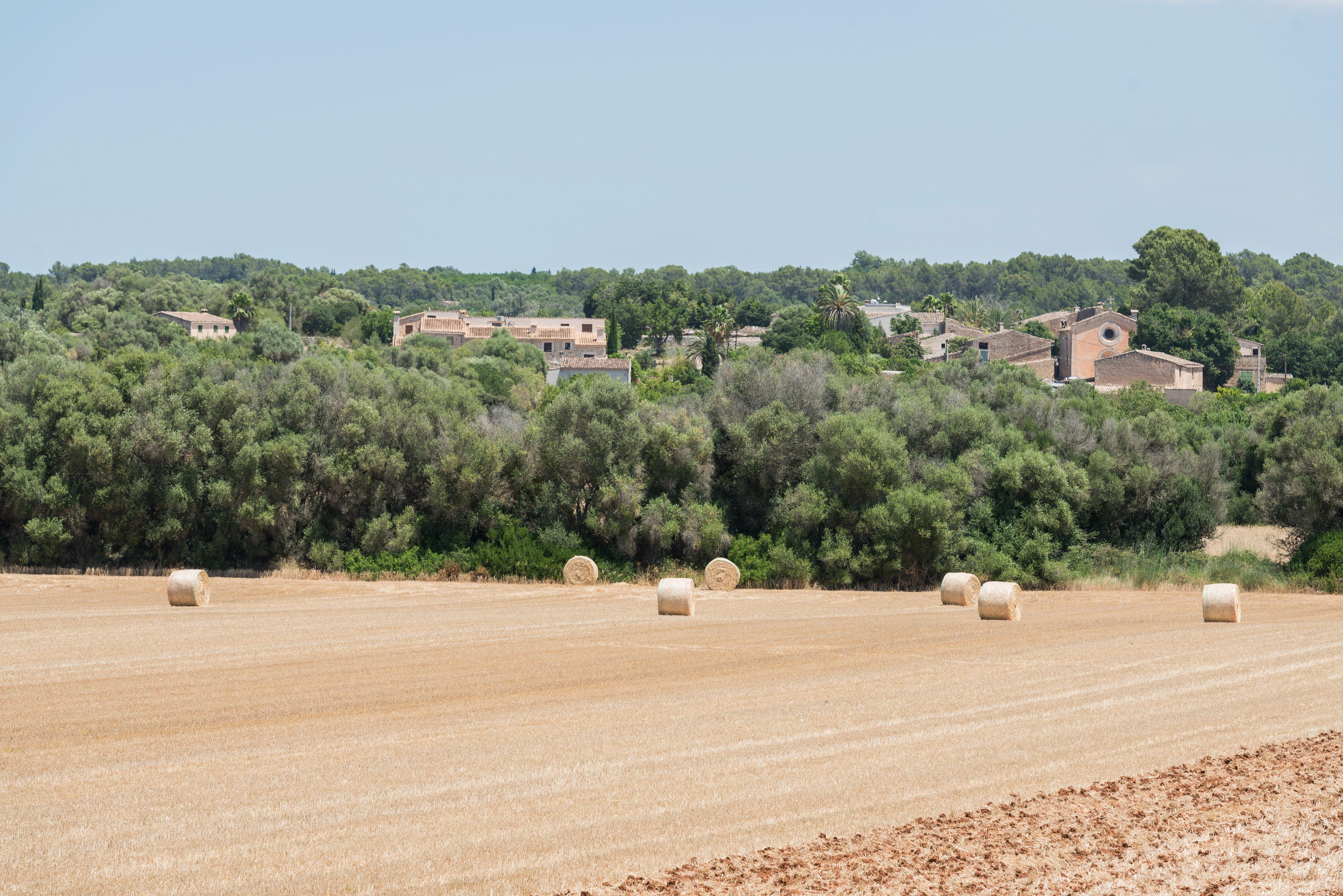 Petit Hotel Rural Son Jorda Sencelles Exterior foto