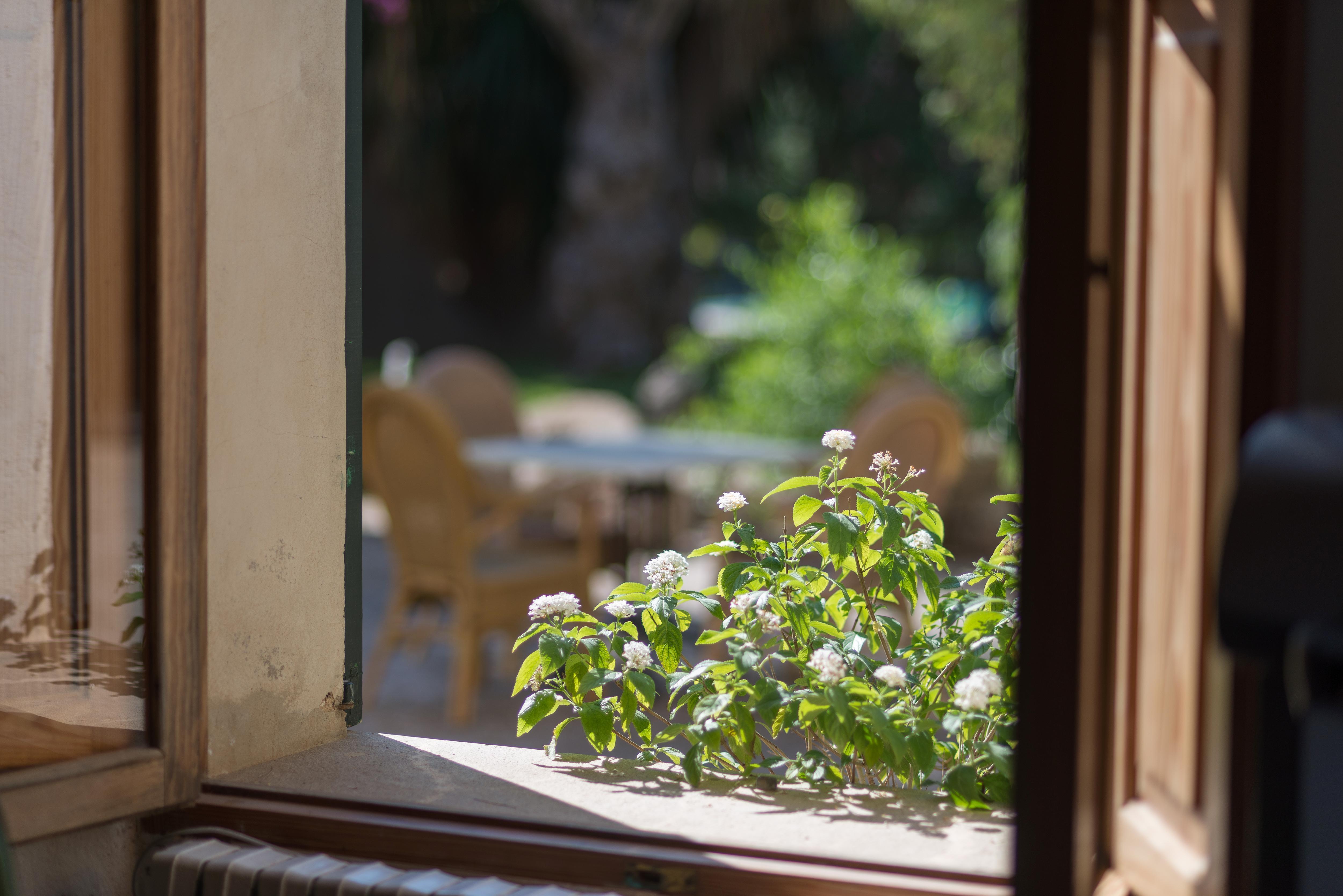 Petit Hotel Rural Son Jorda Sencelles Exterior foto